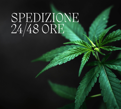 spedizioni maryjanefriends